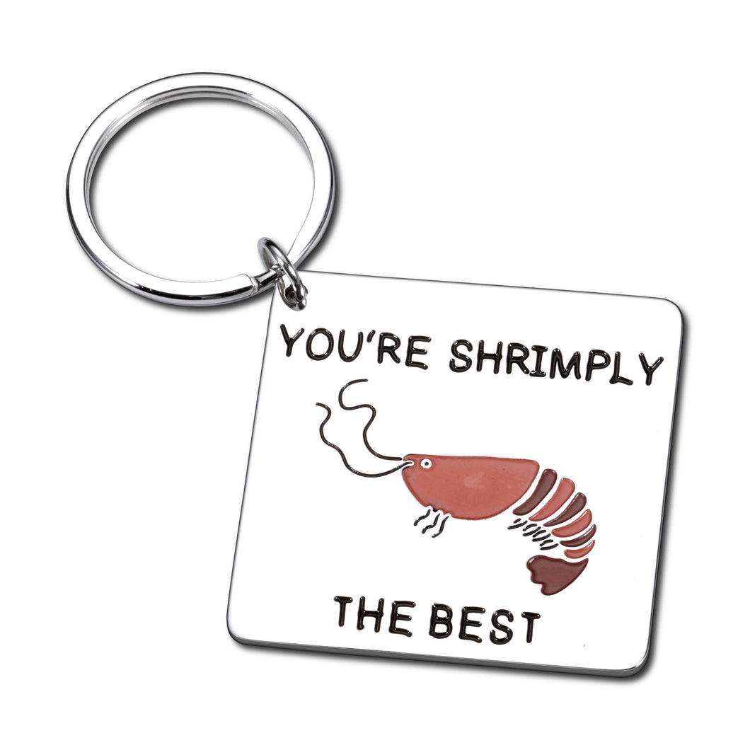 Funny Valentines Day Gifts for Him Her Inspirational Gifts for Women Men Friend Bestie Birthday Christmas Gifts for Boyfriend from Girlfriend Son Daughter Coworker Employee Appreciation Gift Keychain